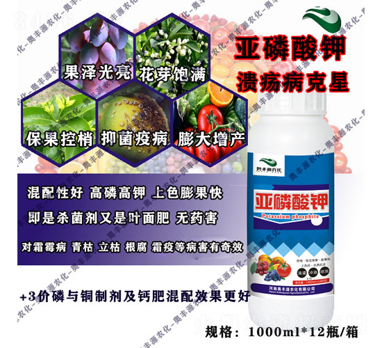 �������-�W�SԴ