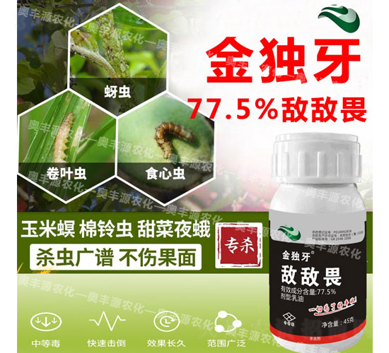 77.5%����η����-��(d��)��-�W�SԴ