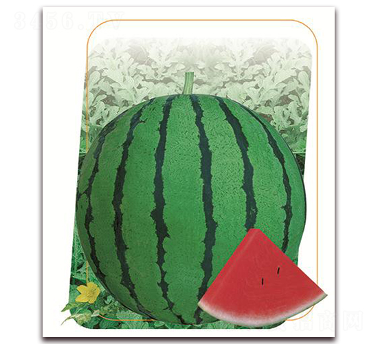 ��¶-���ϷN��-����(y��u)�r(n��ng)�I(y��)