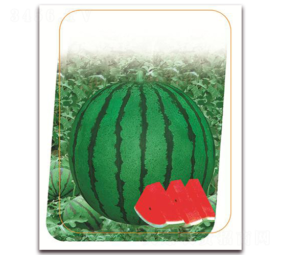 �¶��N-���ϷN��-����(y��u)�r(n��ng)�I(y��)