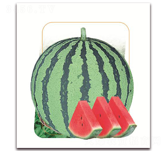 �㶼-���ϷN��-����(y��u)�r(n��ng)�I(y��)