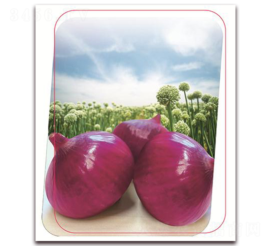 ��ϼ-���[�N��-����(y��u)�r(n��ng)�I(y��)