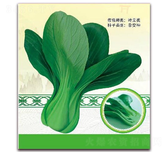 ��G��̖-�~�˷N��-����(y��u)�r(n��ng)�I(y��)