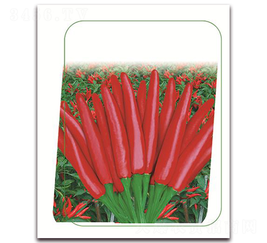 �����t-�����N��-����(y��u)�r(n��ng)�I(y��)