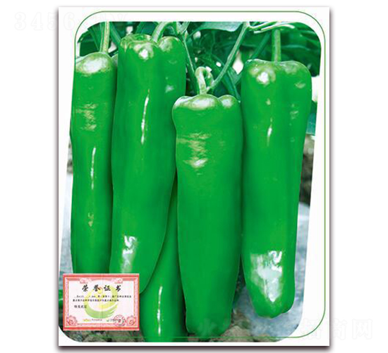 ����-�����N��-����(y��u)�r(n��ng)�I(y��)