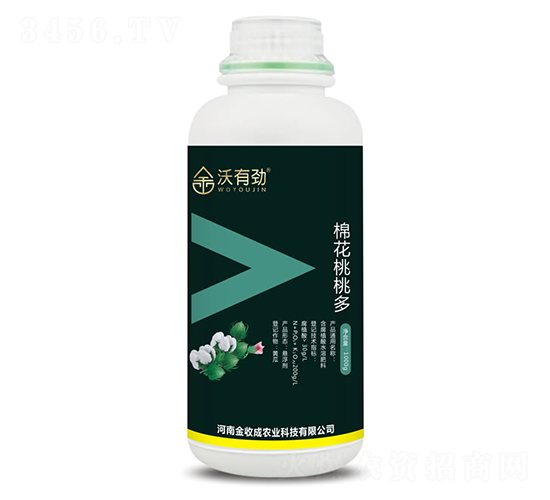 �޻����Ҷ�-���Є�-���ճ�