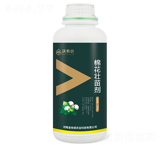 �޻����焩-���Є�-���ճ�