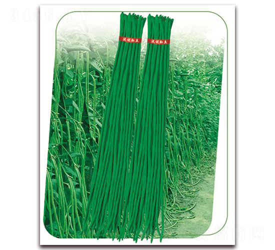 ����6̖(h��o)-�����N��-����(y��u)�r(n��ng)�I(y��)