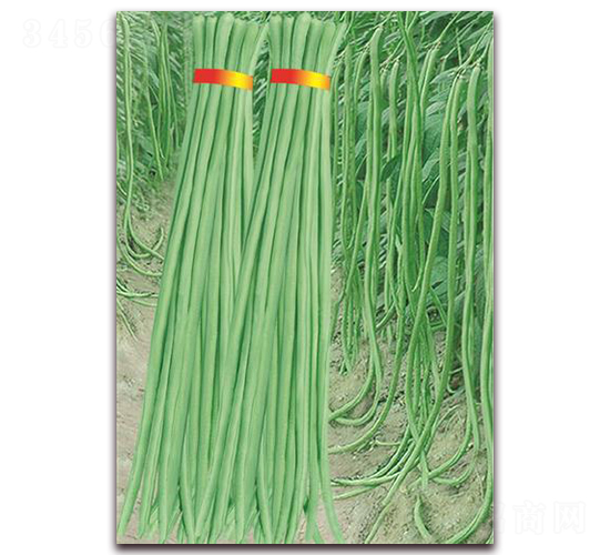 ����1̖-�����N��-����(y��u)�r(n��ng)�I(y��)