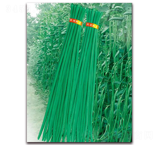 �G���-�����N��-����(y��u)�r(n��ng)�I(y��)