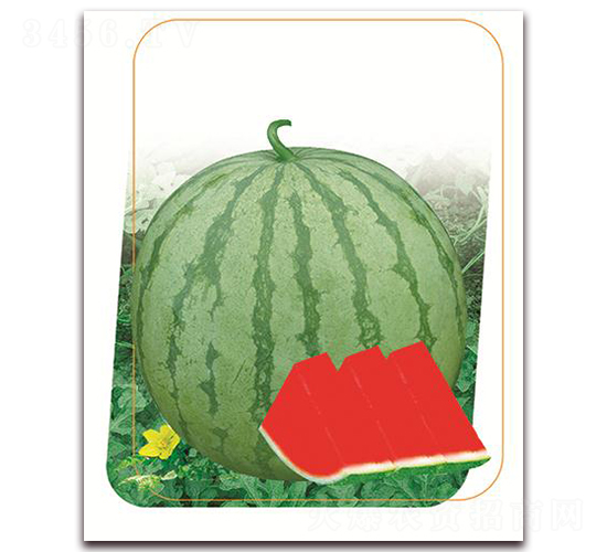 ����-���ϷN��-����(y��u)�r�I(y��)