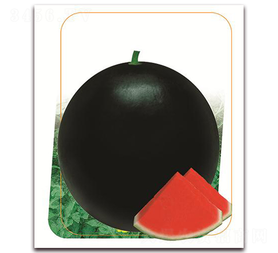 ���~ʮ��-���ϷN��-����(y��u)�r�I(y��)