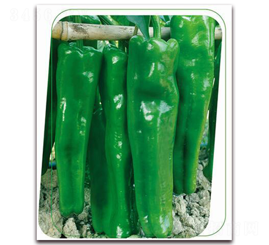 ���Aһ̖(h��o)-�����N��-����(y��u)�r(n��ng)�I(y��)