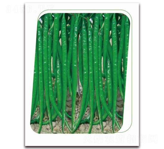 �������-�����N��-����(y��u)�r(n��ng)�I(y��)