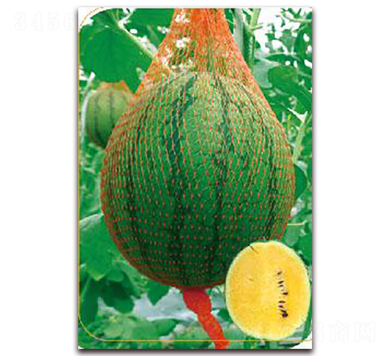 ����-���ϷN��-����(y��u)�r(n��ng)�I(y��)