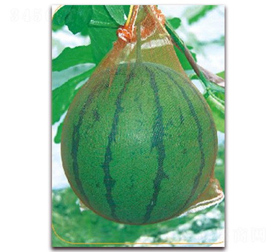 �G�C��-���ϷN��-����(y��u)�r�I(y��)