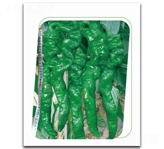 ����һ̖-�����N��-����(y��u)�r�I(y��)