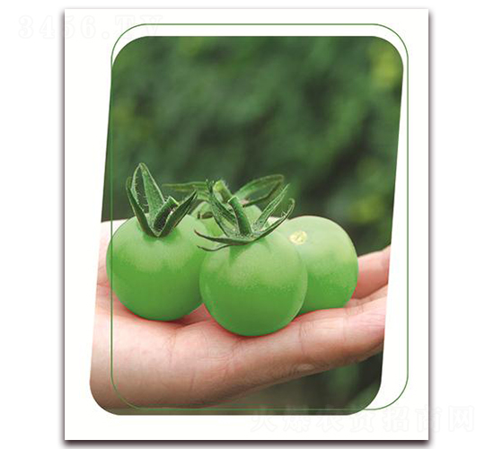 �Gؐ-���ѷN��-����(y��u)�r(n��ng)�I(y��)