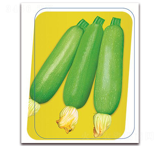 ����-�����J�N��-����(y��u)�r(n��ng)�I(y��)