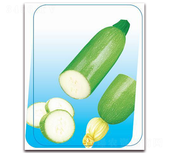 ����-�����J�N��-����(y��u)�r(n��ng)�I(y��)