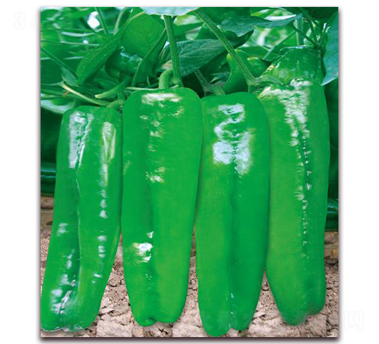 ����(y��u)8̖(h��o)-�����N��-����(y��u)�r(n��ng)�I(y��)