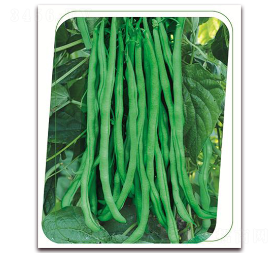 �����ܶ���-�����N��-����(y��u)�r(n��ng)�I(y��)