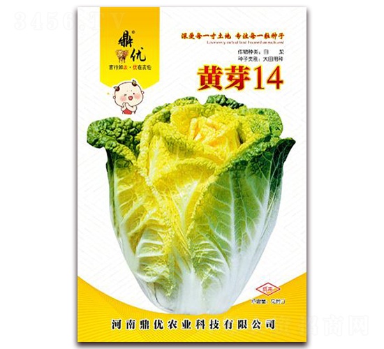 �Sѿ14-�~�˷N��-����(y��u)�r(n��ng)�I(y��)