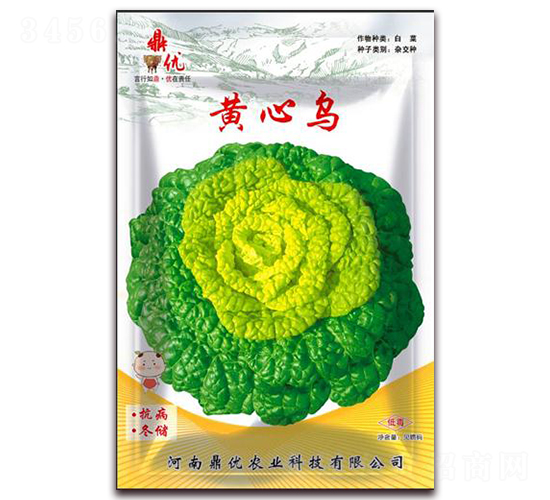 �S�Ğ�-�~�˷N��-����(y��u)�r(n��ng)�I(y��)