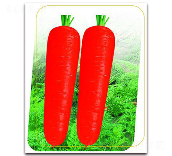 ���t�˴�-���}���N��-����(y��u)�r(n��ng)�I(y��)