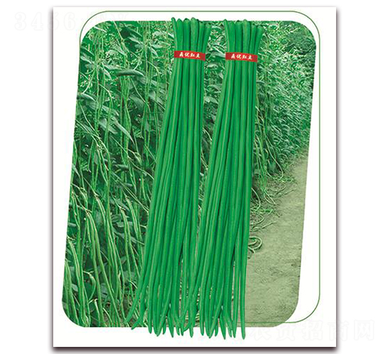 ����9̖(h��o)-�����N��-����(y��u)�r(n��ng)�I(y��)