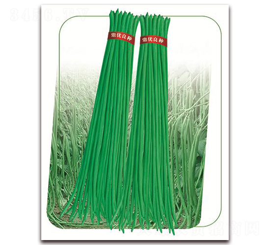 ����8̖-�����N��-����(y��u)�r(n��ng)�I(y��)