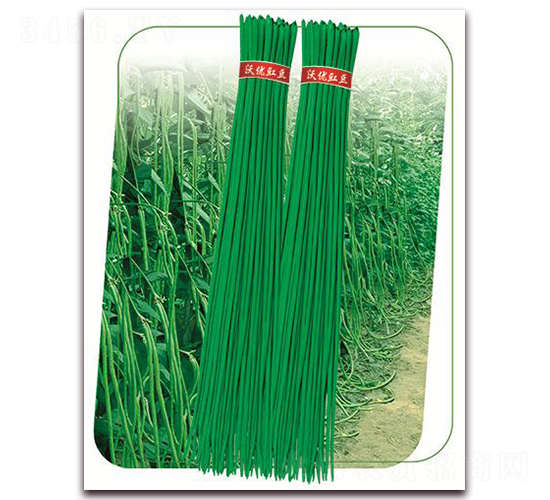 ����7̖(h��o)-�����N��-����(y��u)�r(n��ng)�I(y��)