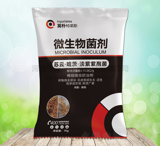 ΢�������-Ӣ�����R˹