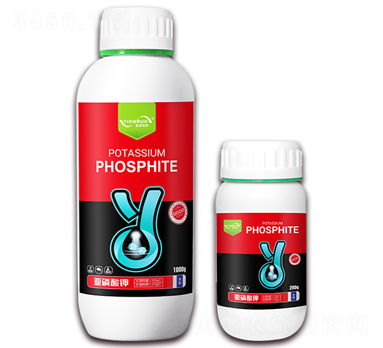 �������-ӯ���r(n��ng)�I(y��)