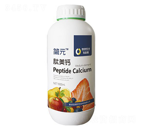 �����}-��(ji��n)Ԫ-������