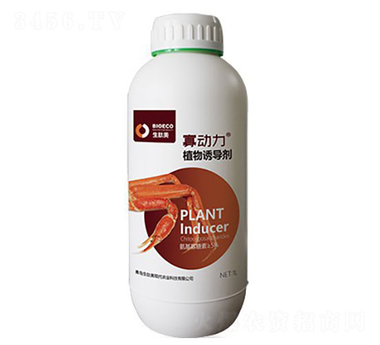 ֲ���T��(d��o)��-�ф���-������