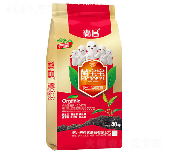 5�|΢�������-������-ɭ��-�ꂥ�_