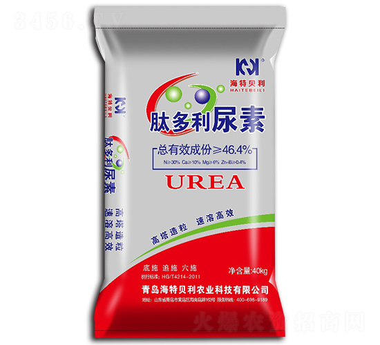 �Ķ�������-����ؐ��