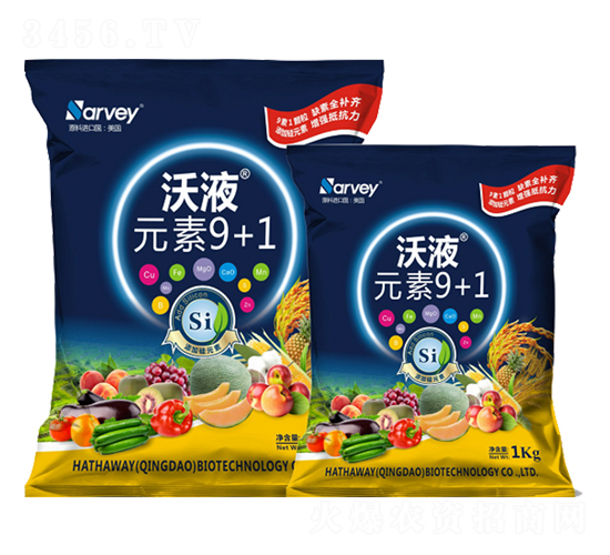 ��ҺԪ��9+1-�����f