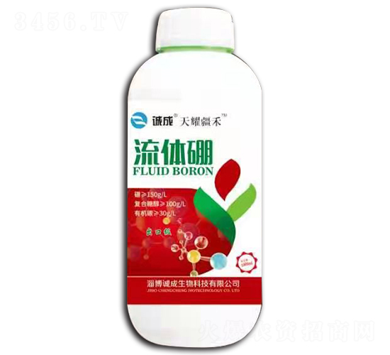 ���w��-�\��