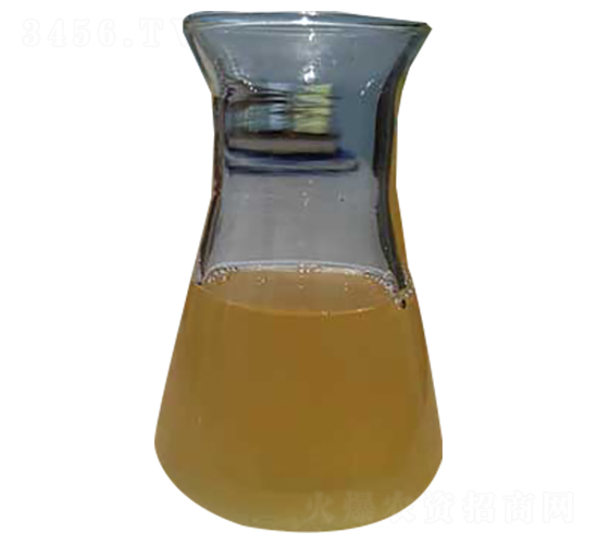 �۹Ȱ���ԭˎ-����