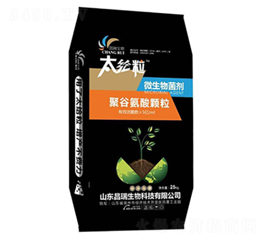 �۹Ȱ������-����