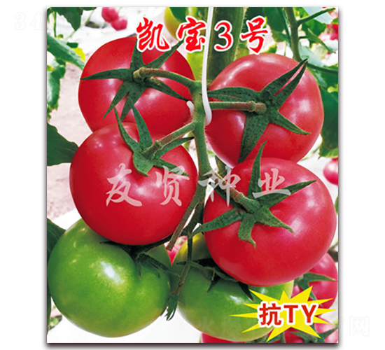 �P��3̖(h��o)-��ɫ���ѷN��-���t�N�I(y��)