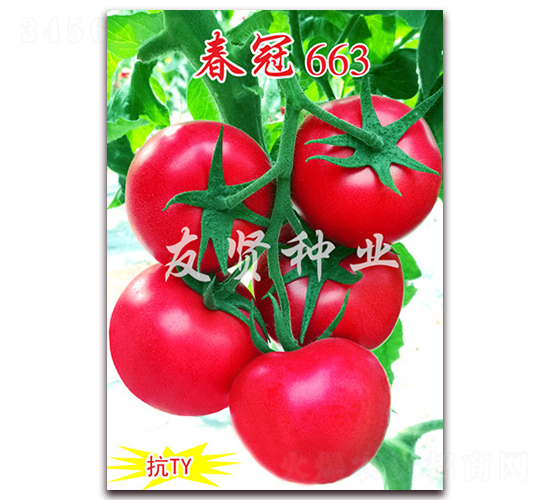 ����663-��ɫ���ѷN��-���t�N�I(y��)