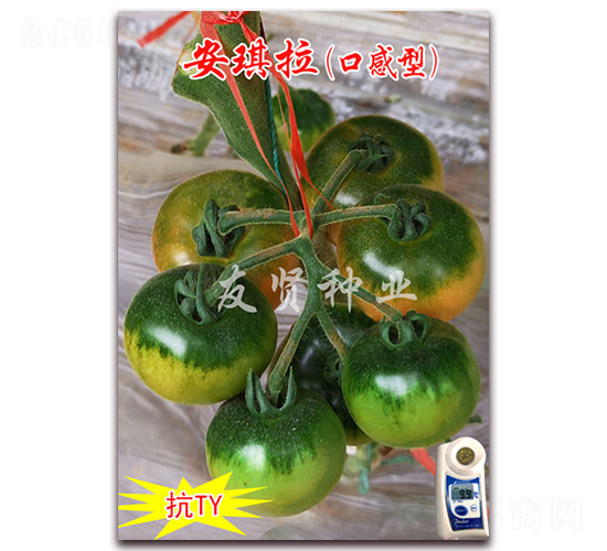 ������-��TY��������С���ѷN��-���t�N�I(y��)