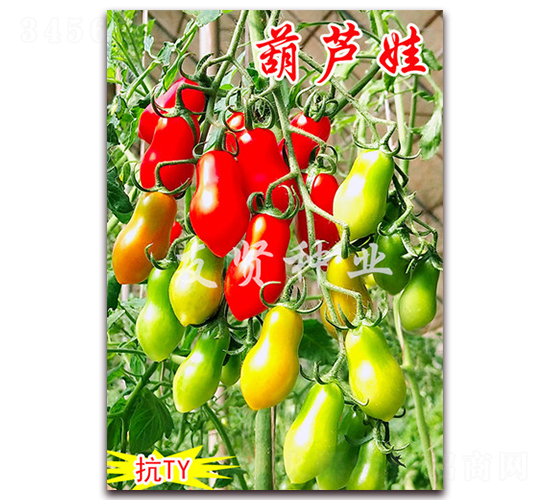 ���J��-��TY��������С���ѷN��-���t�N�I(y��)