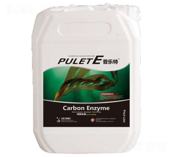 �՘���-�ն���