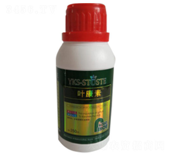 250ml�������~���-�~����-�ն���