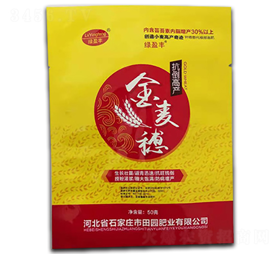 ������-��@�ʘI(y��)