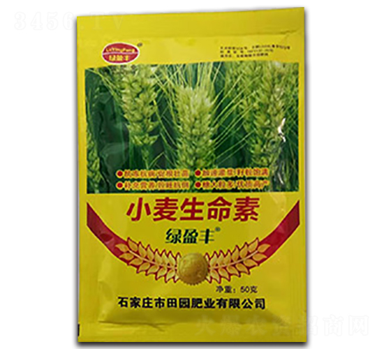 С��������-��@�ʘI(y��)